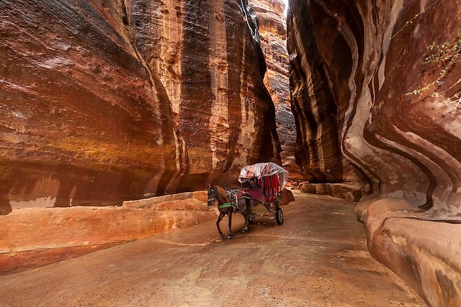 1 Day Tour to Petra From Eilat - Entering Petra’s Main Circuit: Siq to the Treasury and More