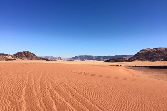 2 Day Tour to Petra and Wadi Rum from Tel Aviv - What kind of guide experience you can expect