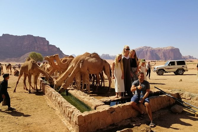 2 Days Wadi Rum and Petra Tour from Wadi Arava Border - From Arava Border to Wadi Rum: a clean start