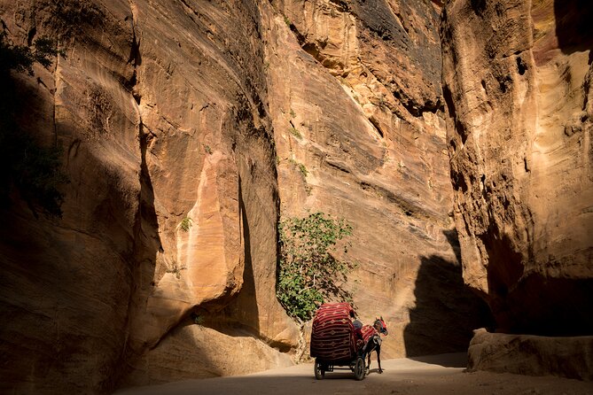 3-Day Petra and Wadi Rum Tour from Tel Aviv - Jerash and Shobak Castle: where the route adds extra ancient-world texture