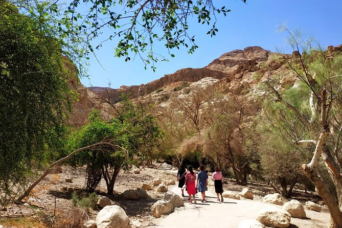 4WD Masada Ein Gedi Judea desert Dead Sea adventure 4x4 Tour. - Ein Gedi oasis nature reserve: shade, waterfalls, and ibex nearby