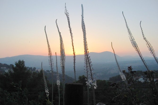 A Day of Spiritual Discovery in the Upper Galilee - Why Safed and the Upper Galilee Feel Different for Kabbalah