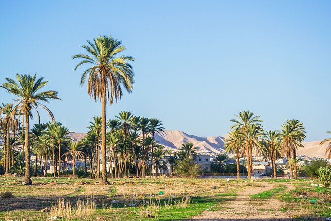 Bethlehem, Jericho & Jordan River Tour from Tel Aviv - Price and Value: What You Get for $119, Plus the Extras