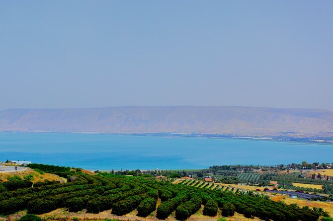 Biblical Highlights of the Galilee Tour From Tel Aviv - Capernaum synagogue ruins: seeing where teaching happened