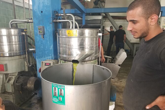 Culinary Day Tour of the Galilee - Ein Camonim goat’s cheese: the farm story behind the flavor
