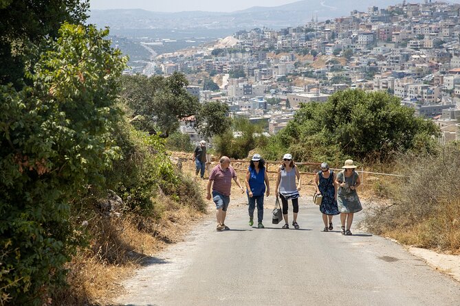 Culinary Day Tour of the Galilee - Druze sweets and a stop at an organic vineyard
