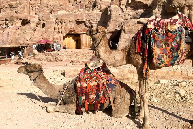 Day Tour to Petra by Bus from Tel Aviv - Price and logistics: what $299 really covers