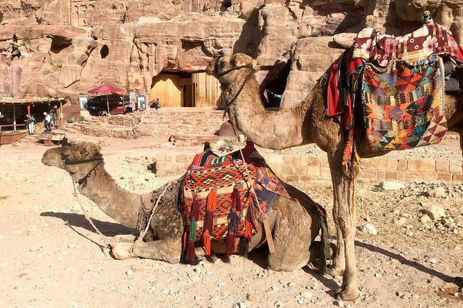 Day Tour to Petra from Eilat - Petra’s Main Sights in a Tight Window: What You Can Realistically See