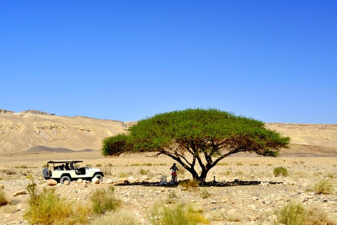 Desert Safari and Dead Sea Day Trip from Tel Aviv - What You Really Get: A Long Day With Two Different Worlds