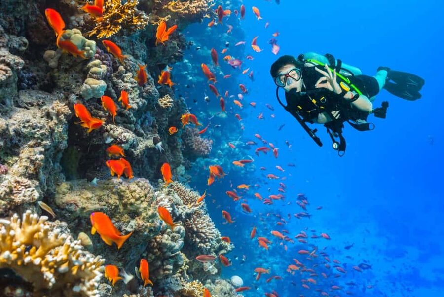 Eilat: Intro to Diving with Certified Instructor - Cancellation and booking flexibility: Pay later, keep control