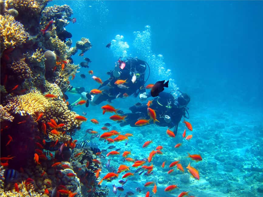 Eilat: Intro to Diving with Certified Instructor - How to plan your day around a one-hour session