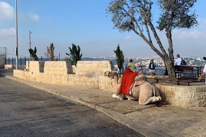 Explore Jerusalem's Old City - City of David National Park: the water tunnel story and the Hezekiah tunnels