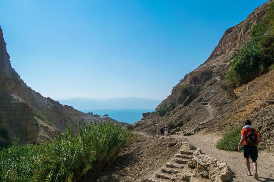 From Jerusalem: Masada at Sunrise, Ein Gedi & Dead Sea Tour - The Dead Sea float and mud bath: fun, weird, and oddly memorable