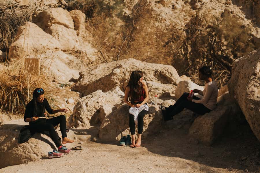 From Jerusalem: Masada at Sunrise, Ein Gedi & Dead Sea Tour - Price and logistics: what the $106 gets you, and what costs extra