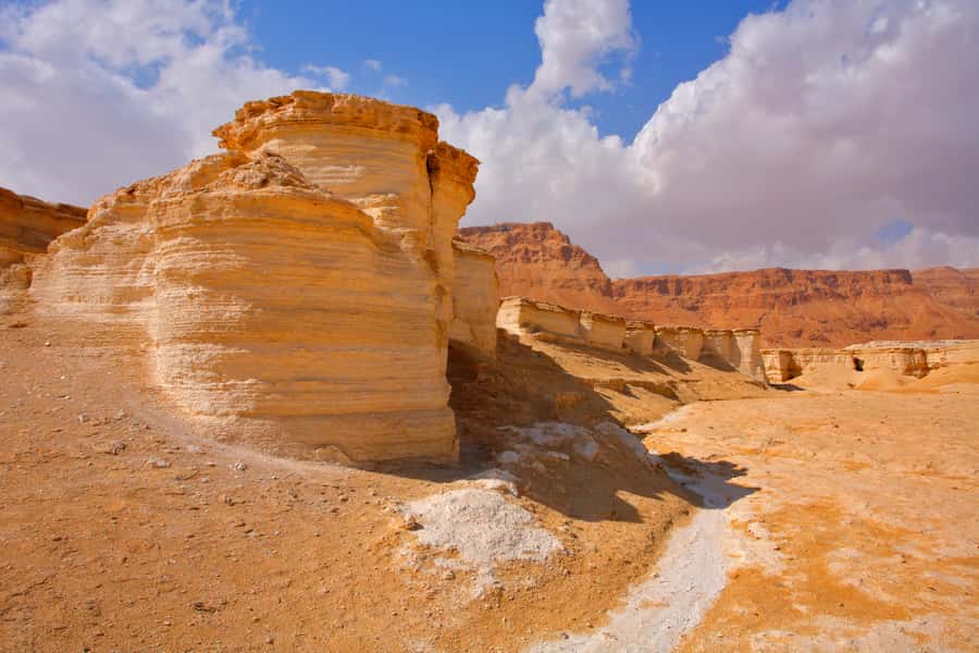 From Jerusalem: Masada & Dead Sea Full Day Tour with Pick Up - Best fit: who will enjoy this tour the most
