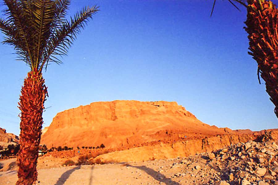 From Jerusalem: Masada&Dead Sea Tour INCLUDING ENTRANCE FEES - Timing, group size, and how long the day really feels