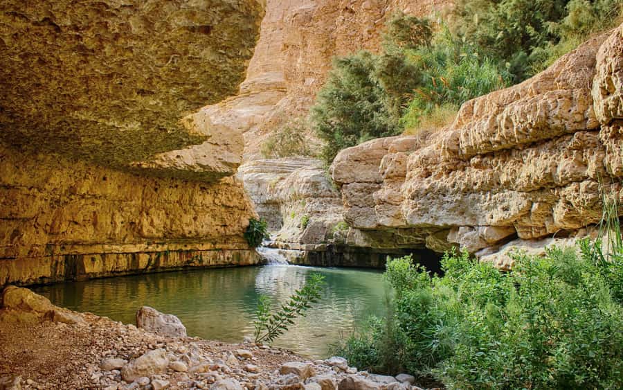 From Jerusalem: Masada Sunrise, Ein Gedi & Dead Sea Day Trip - Why this Masada sunrise day starts before breakfast