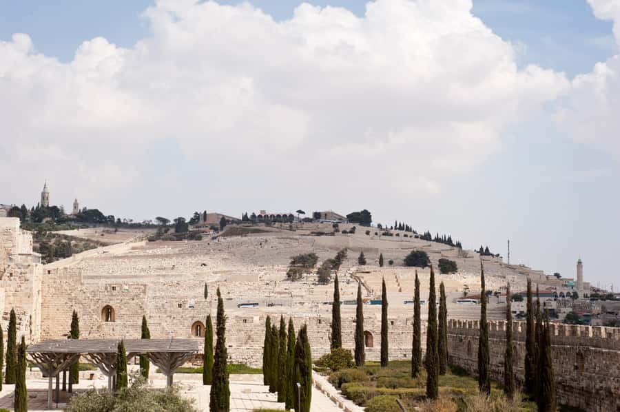 From Jerusalem: Old City & Dead Sea Full-Day Tour - Entering the Old City: a guided route that covers the key holy sites