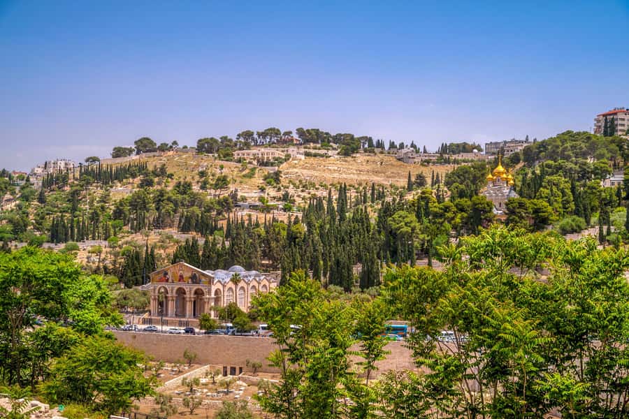 From Jerusalem Small group tour Old&New City ENTRY FEES INCL - Hotel pickup and the Ein Karem warm-up