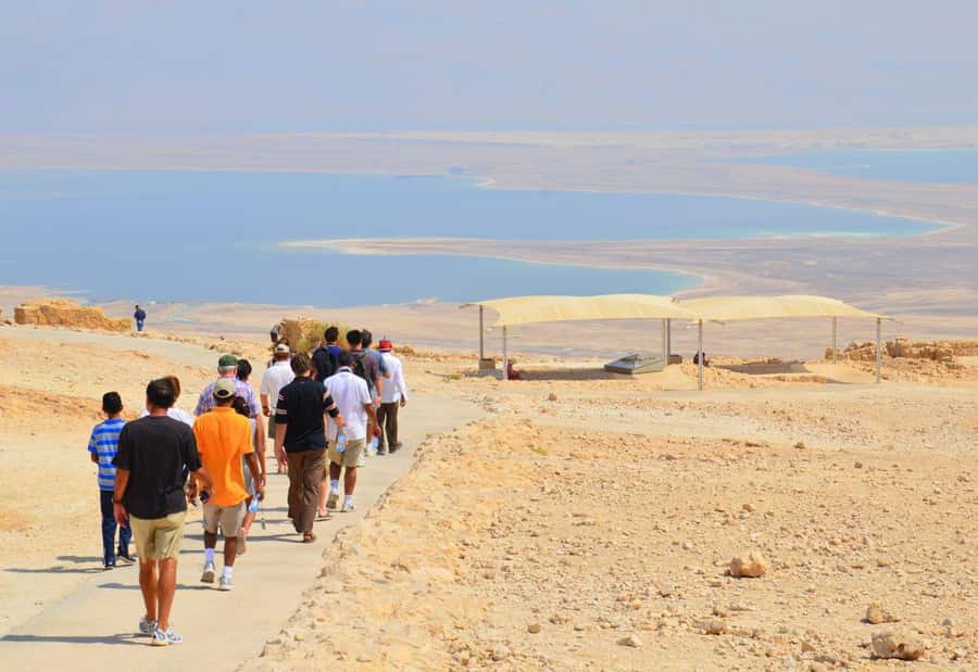 From Jlm : Masada Dead Sea Small Group Tour INCL. ENTRY FEES - Late Pickup and the Judean Desert Drive