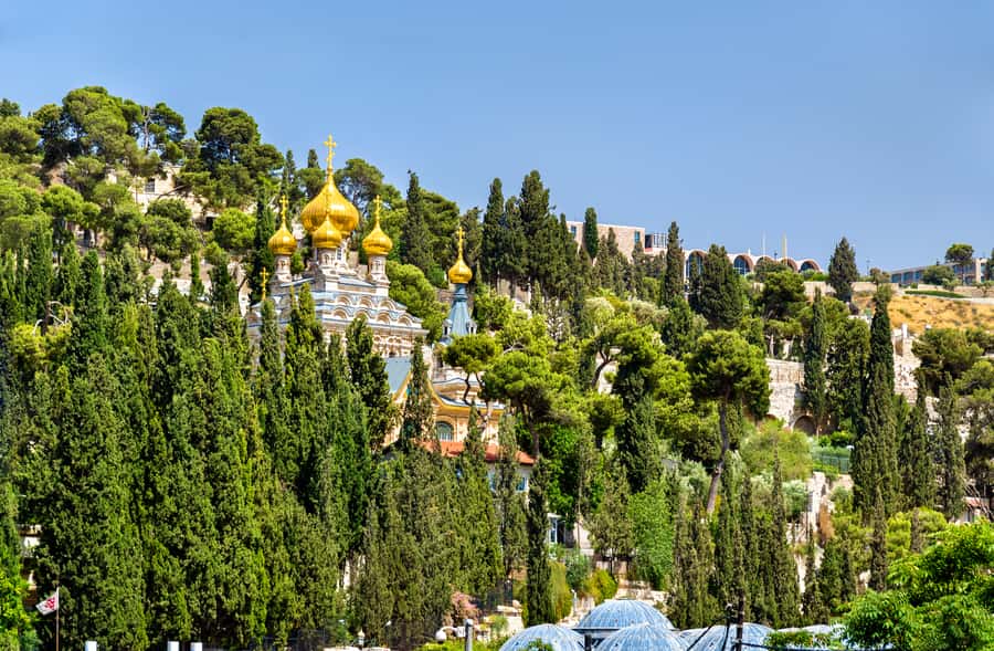 From Tel-Aviv: Day Tour to Origins of Christ in Jerusalem - Key highlights to look for on this Jerusalem day