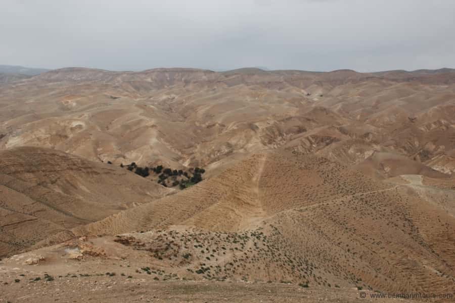 From Tel Aviv: Dead Sea Visit & Desert Safari - Inn of the Good Samaritan, Jericho views, and the moment you drop below sea level