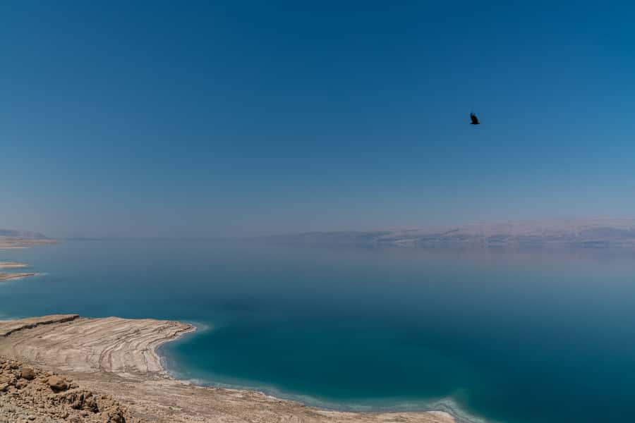 From Tel Aviv: Dead Sea Visit & Desert Safari - Dead Sea float and black mud: the classic experience with real-world caveats