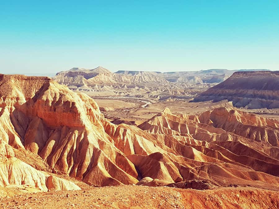 From Tel Aviv: Dead Sea Visit & Desert Safari - Price and value: what you really get for about $160
