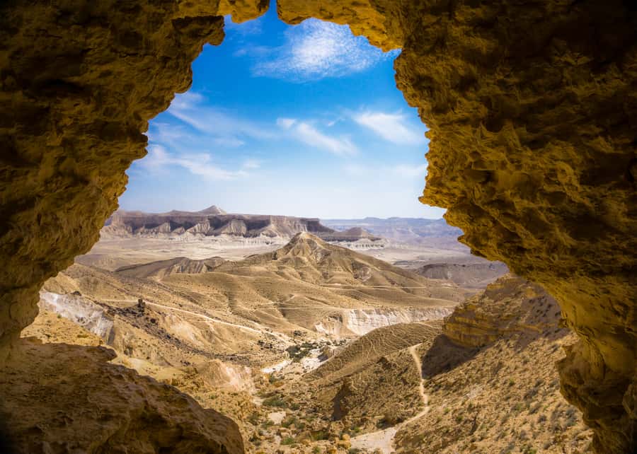 From Tel Aviv: Dead Sea Visit & Desert Safari - Should you book this Dead Sea visit and desert safari?