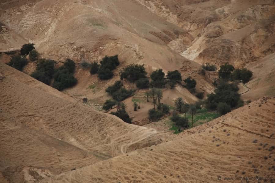From Tel Aviv: Dead Sea Visit & Desert Safari - Qumran caves and the Dead Sea Scrolls connection you can actually see