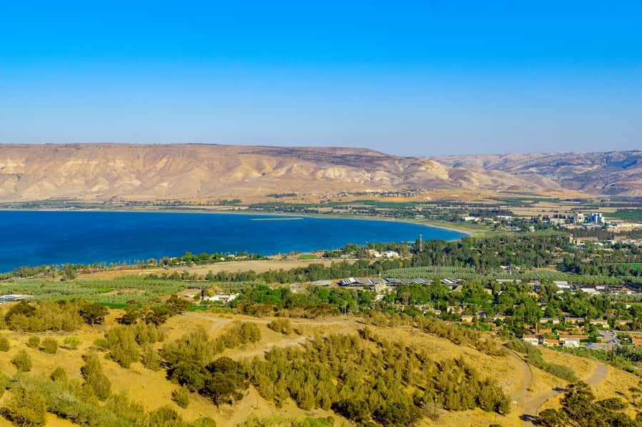 From Tel Aviv: Golan Heights Tour - Hamat Gader, then Up to the Shalom Observatory