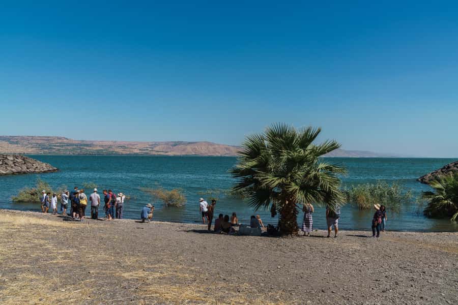 From Tel Aviv: Guided Day Trip to Nazareth & Sea of Galilee - Capernaum Ruins: Entry Included, So You Actually See the Archaeology