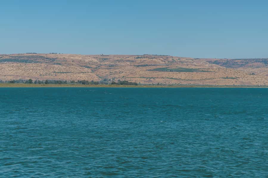 From Tel Aviv: Magdala, Mount of Beatitudes, and Cana Tour - Ginosar and the Beit Yigal Allon Museum: The Boat in Numbers