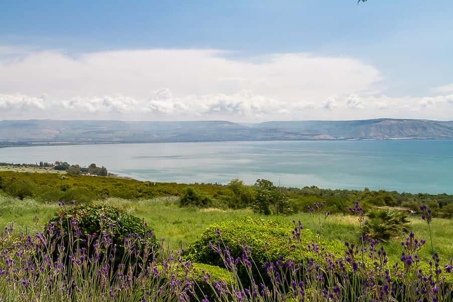 From Tel Aviv: Magdala, Mount of Beatitudes, and Cana Tour - Comfort Tips That Actually Matter on This Day