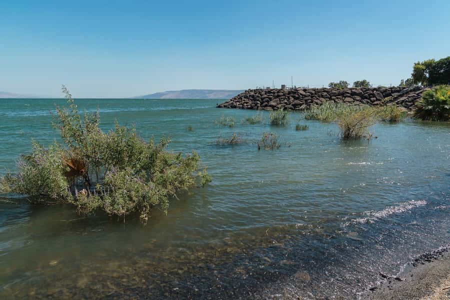 From Tel Aviv: Magdala, Mount of Beatitudes, and Cana Tour - Magdala: Mary Magdalene’s Town and a Synagogue With a 29 AD Coin