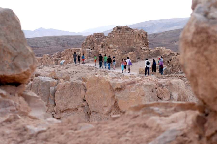 From Tel Aviv: Masada &Dead Sea Tour INCLUDING ENTRANCE FEES - Dead Sea cosmetics shop: useful stop or time you might skip?