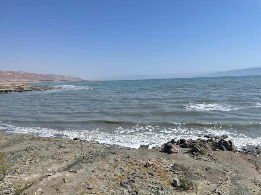 From Tel Aviv: Masada &Dead Sea Tour INCLUDING ENTRANCE FEES - Guide quality and group pacing: what can make or break the day