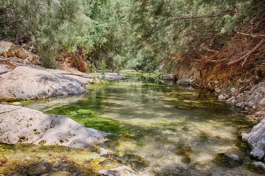 From Tel Aviv: Masada, Ein Gedi & Dead Sea Tour - How the day runs from Tel Aviv