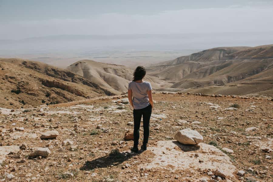 From Tel Aviv: West Bank Day Tour - What This West Bank Day Trip Does Well From Tel Aviv