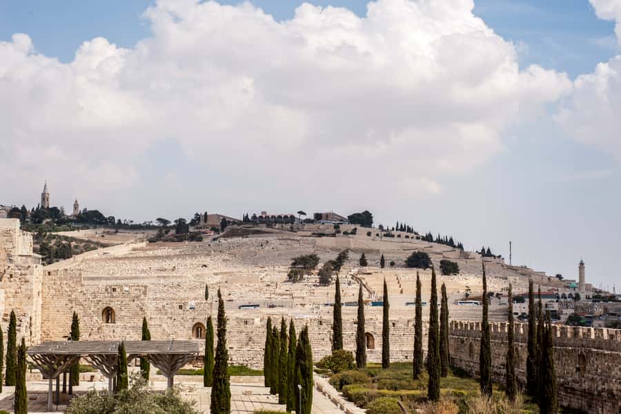 Full Day City Tour of Jerusalem - Western Wall and Temple Mount area: the heart of the Old City circuit