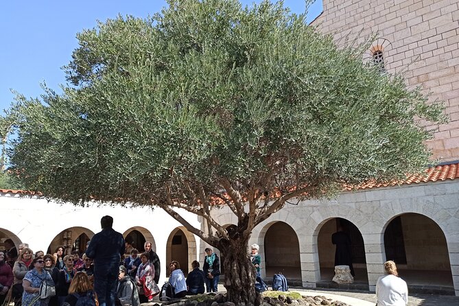 Full Day Tour to Nazareth and the Sea of Galilee - Yardenit on the Jordan River: the moment you remember