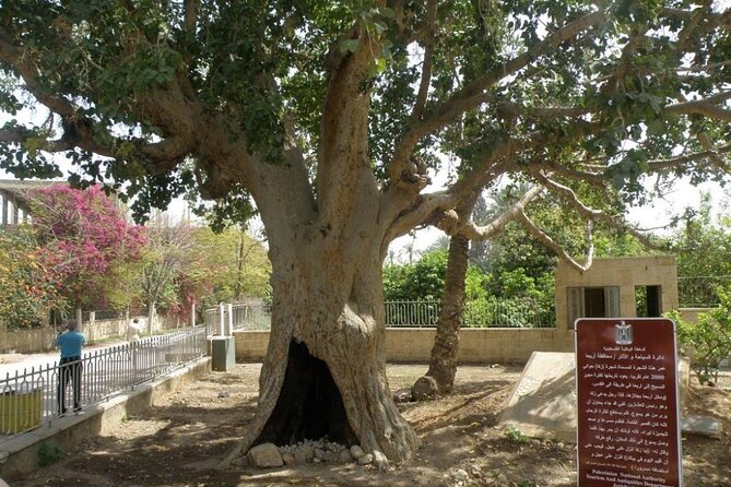 FullDay Bethlehem Jericho Guided Tour From Jerusalem -small group - Jericho old city with a local guide, then up to the Mount of Temptation