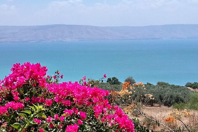 Galilee Day Tour - Quick, useful takeaways