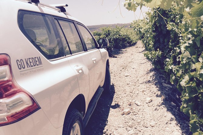 GoKedem 5-Day Private All-Inclusive Cross-Israel Adventure - Why a private 4x4 cross-Israel tour feels different