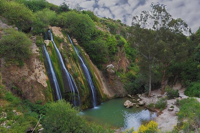GoKEDEM Golan Heights ATV Action & Wine-Tasting Tour From Tel Aviv - Key points to know before you ride