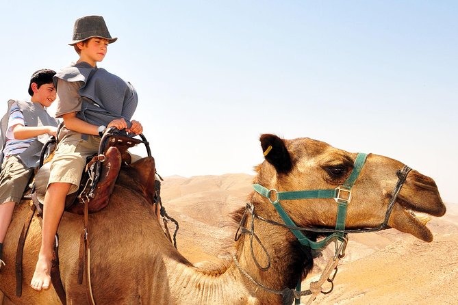 GoKEDEM Masada, DeadSea Camel Ride & Beduin Feast Tour From Tel Aviv - Entering Masada National Park, with a desert approach