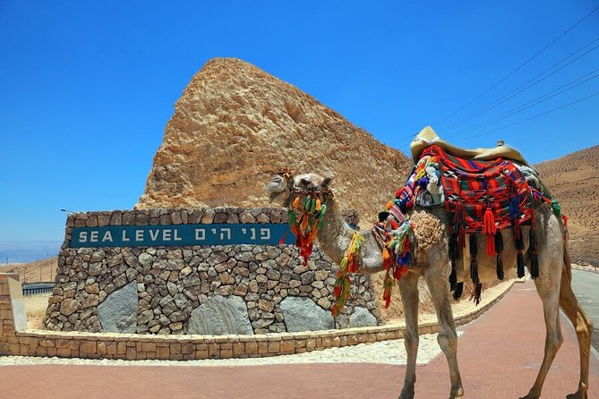 Haifa Shore Excursion: Private Jerusalem and Dead Sea Day Trip - Mount of Olives: the viewpoint that helps you understand Jerusalem fast