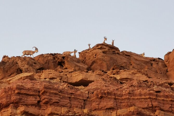 In Depth Introduction of the Ramon Crater - Stop Details: Ramon Crater and the Geologic Hotspots