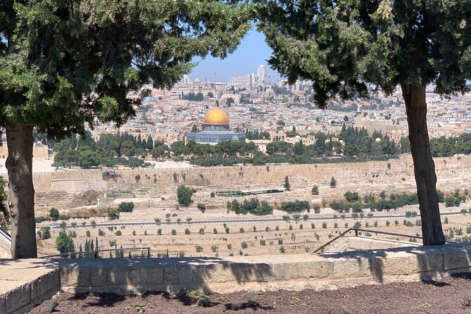 In The Footsteps of Jesus Day Tour - Dguide Self Guiding App - Price and value: $7, plus a couple of fees