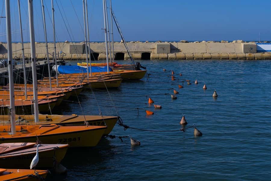 Jaffa: Old City, Port & Shuk Hapishpishim Walking Tour - St Peter’s Church: European-meets-local architecture